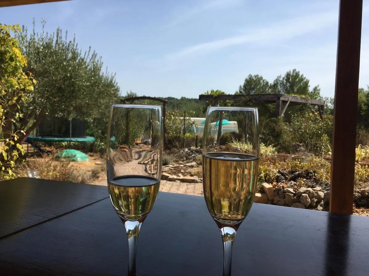 Bed & Breakfast Le Petit Paradis - La Provencale Lorgues