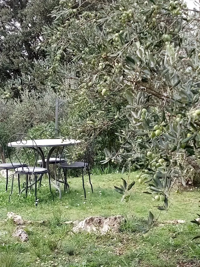 Le Petit Paradis - La Provencale Lorgues